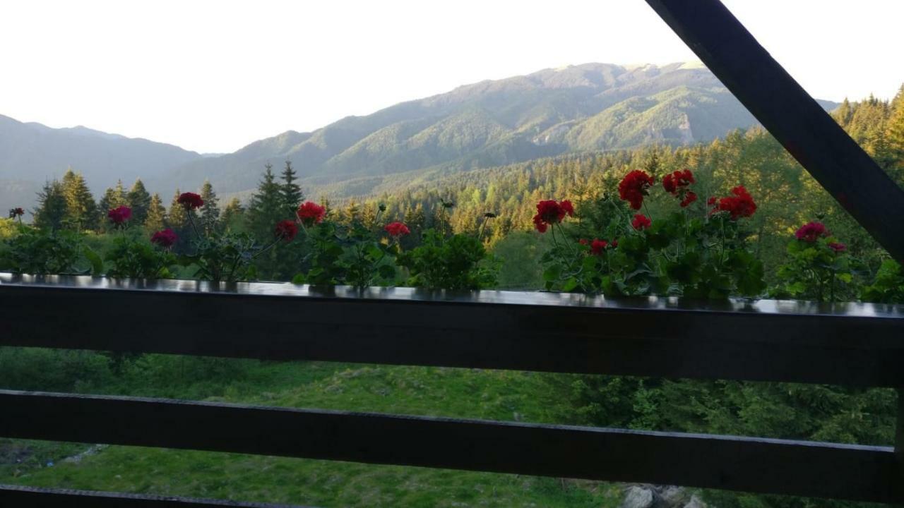 Nature House Предял Екстер'єр фото