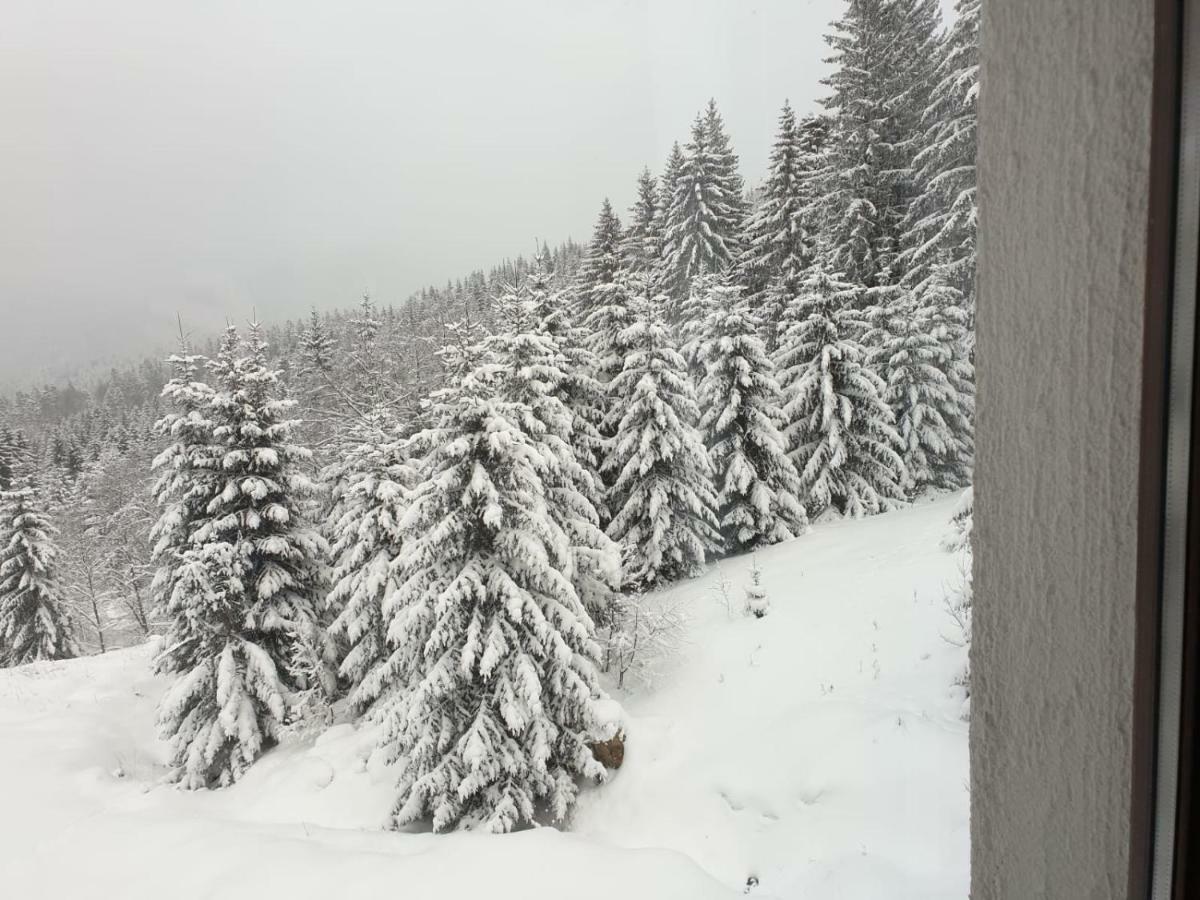 Nature House Предял Екстер'єр фото
