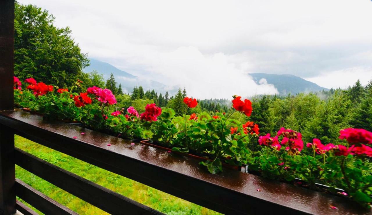 Nature House Предял Екстер'єр фото
